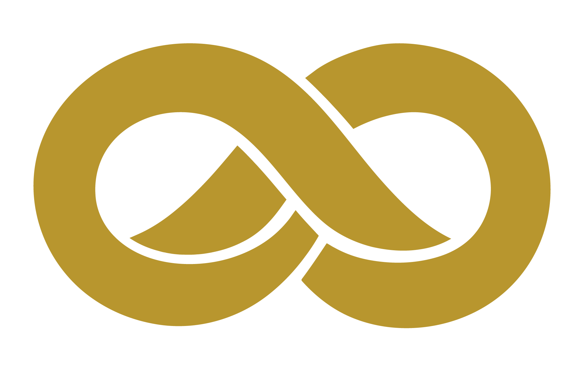 Founder-led leadership expertise